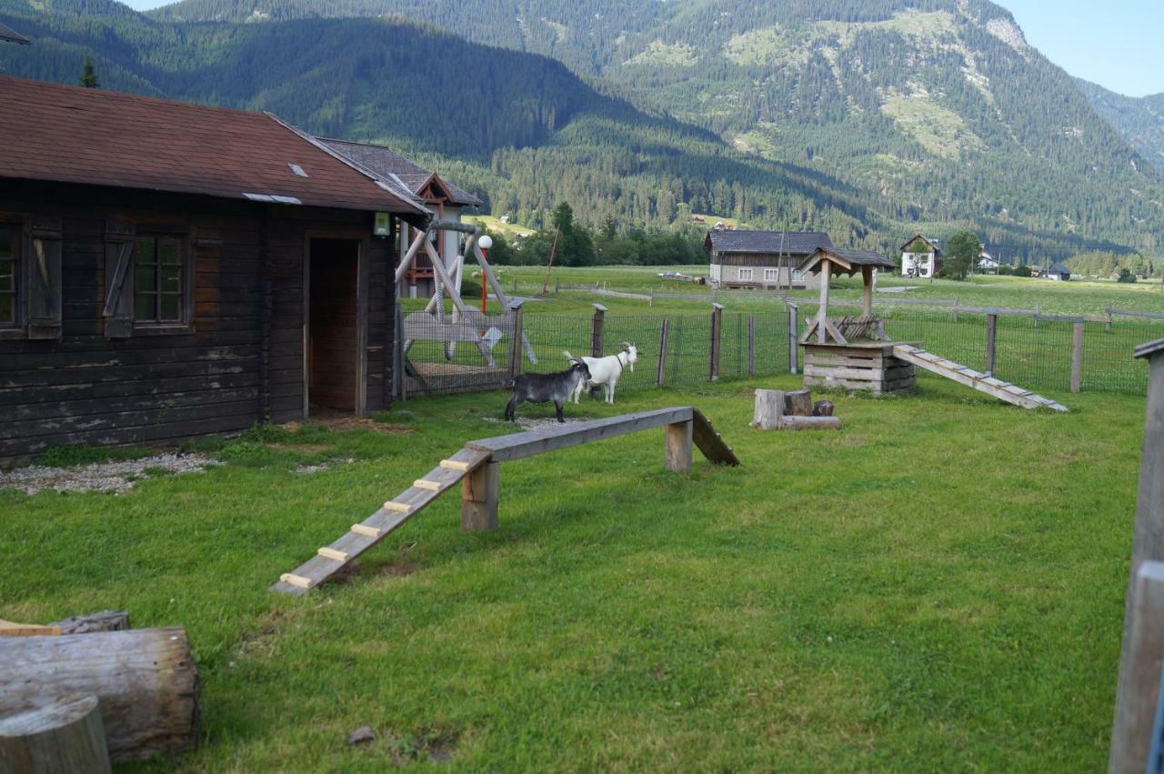 Hallstatt Dachstein Inn Гозау Екстериор снимка